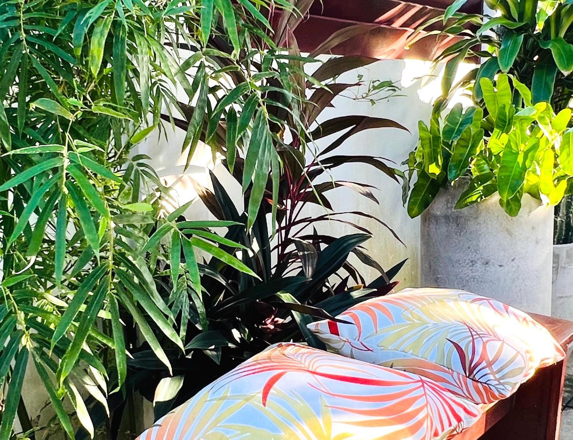 Villa Famiri Boutique Hotel 帕拉马里博 外观 照片